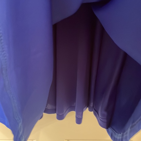 ⭐️SOLD - NWOT Lulus Royal Blue Darling Delight Skater Fit N Flare Dress. - Picture 7 of 14